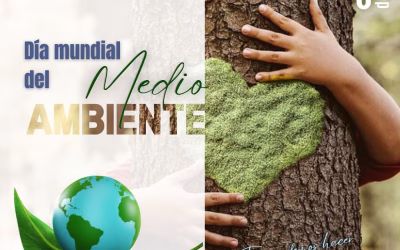 Día Mundial del Medio Ambiente